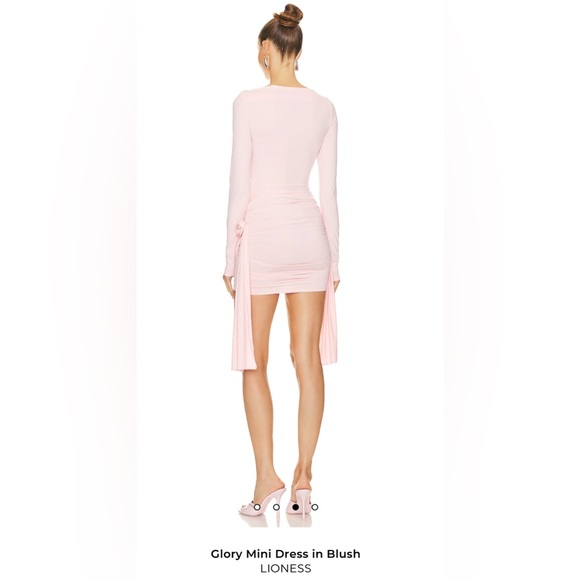 Lioness Long-Sleeve Blush Dress - Picture 3 of 13